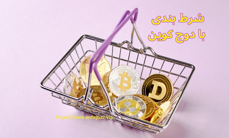 شرط بندی با دوج کوین