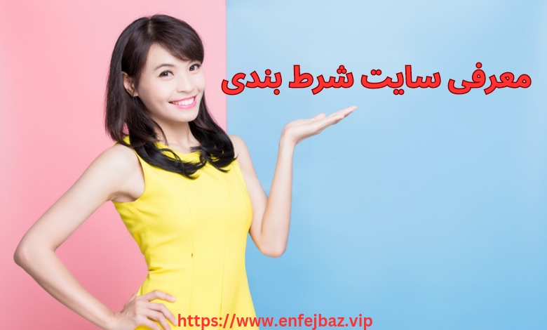 معرفی سایت شرط بندی کیمگ بت