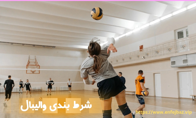 شرط بندی والیبال