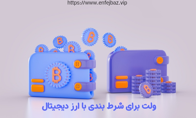 انواع ولت های معتبر برای شرط بندی با ارز دیجیتال