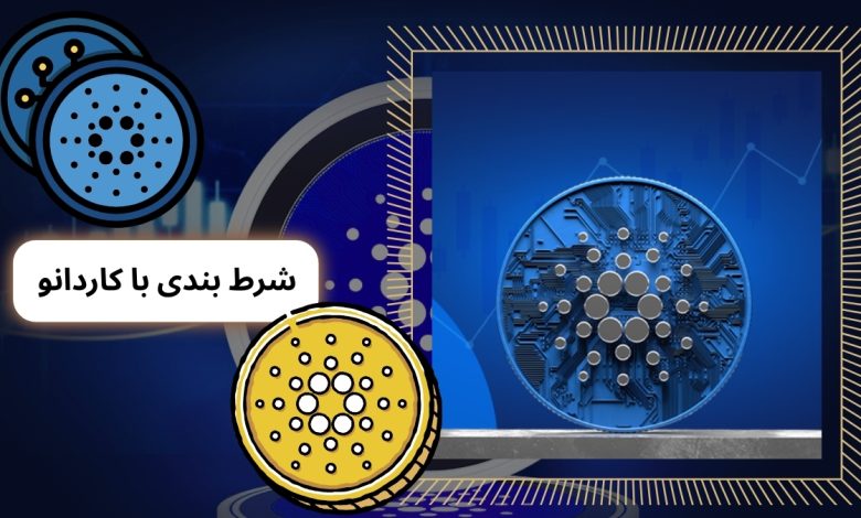 شرط بندی با کاردانو